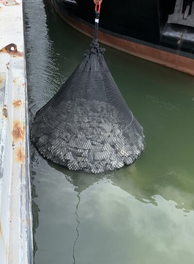 scour protection, gabion, erosion control, riprap