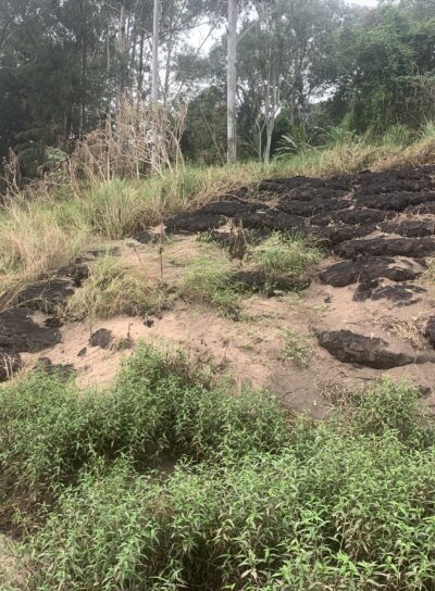 rock bag filter units protecting river bank with rock armoring and natural vegetation, soil stabilization, erosion control, flood protection,