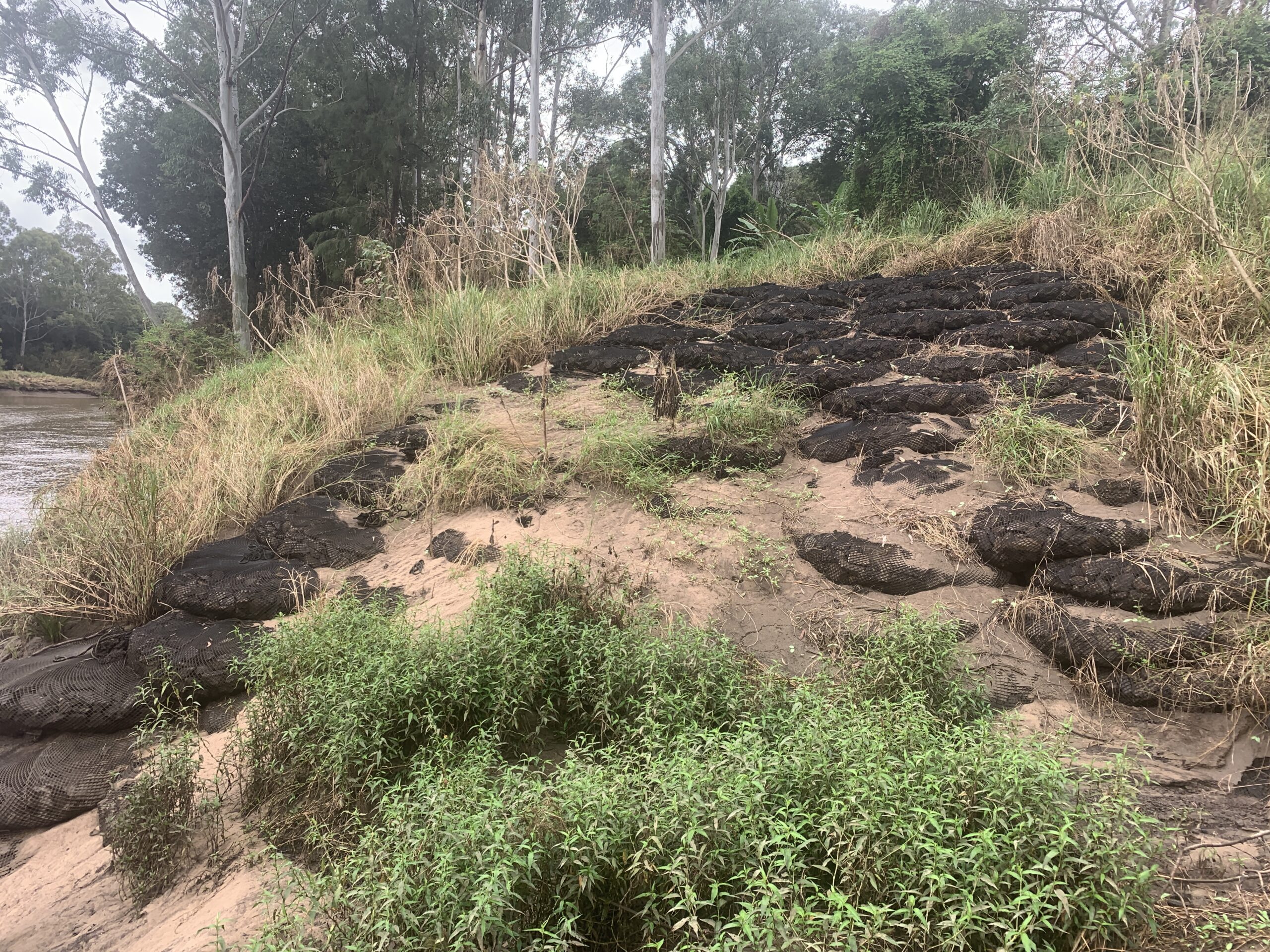 Rock Bag Filter Untis protecting river bank with rock armouring and natural vegetation